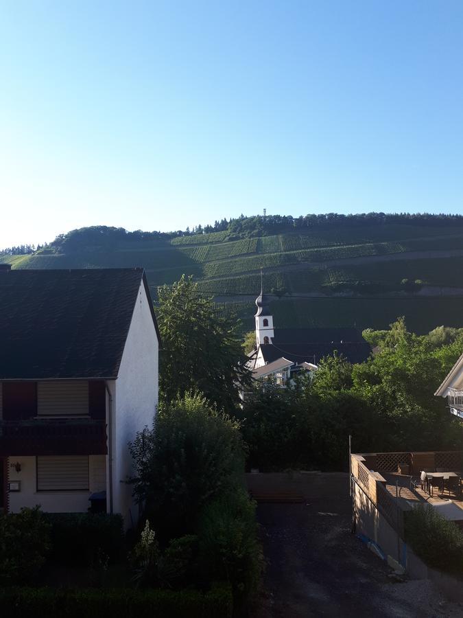 Gaestehaus Jufferpanorama Brauneberg Zewnętrze zdjęcie