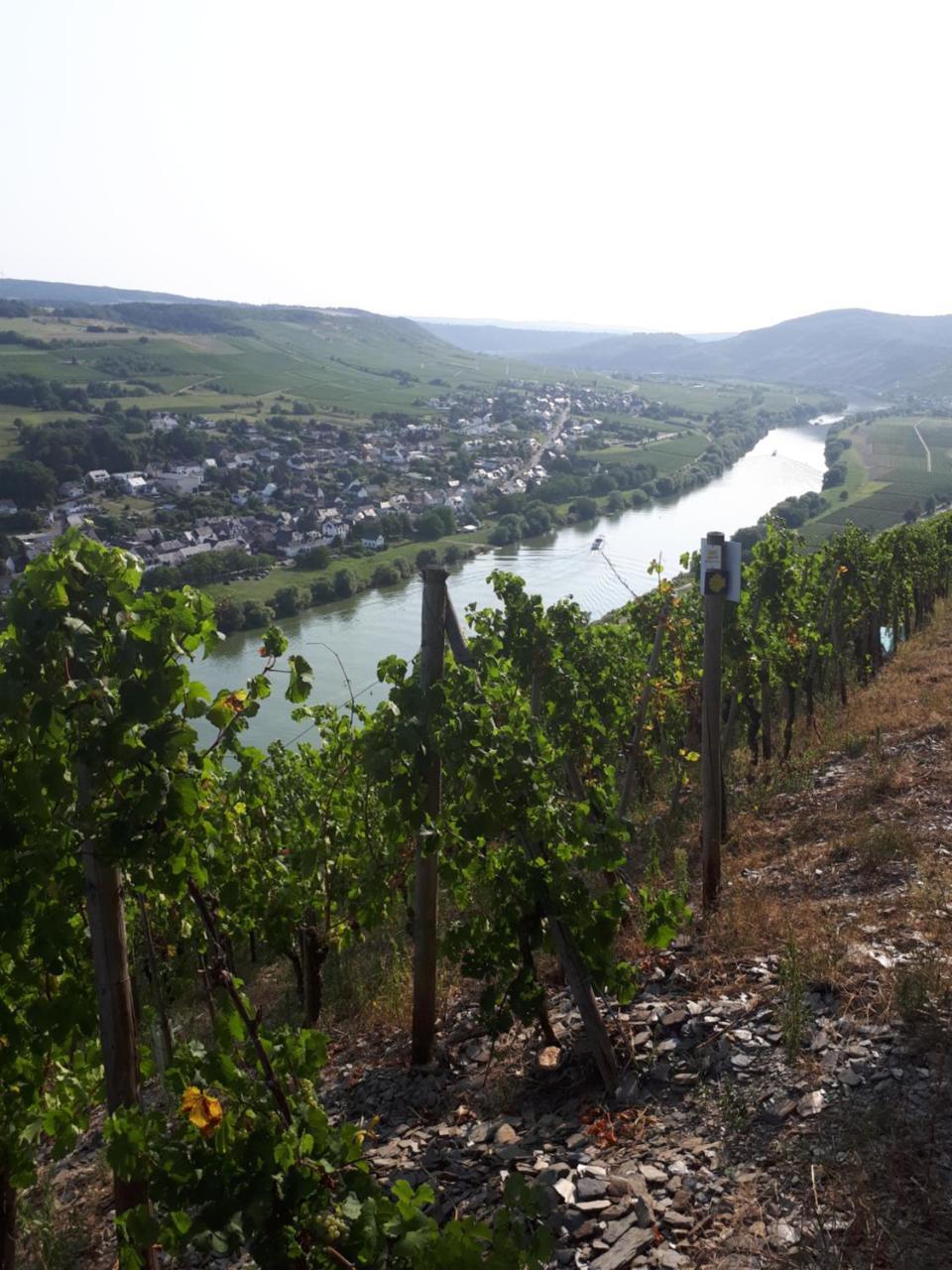 Gaestehaus Jufferpanorama Brauneberg Zewnętrze zdjęcie