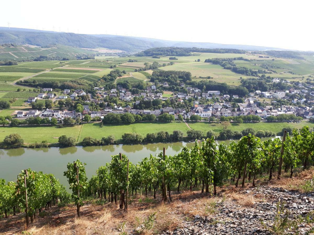 Gaestehaus Jufferpanorama Brauneberg Zewnętrze zdjęcie